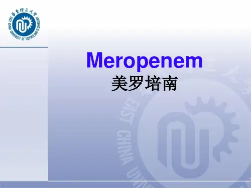 药物合成-美罗培南(华理药物合成)