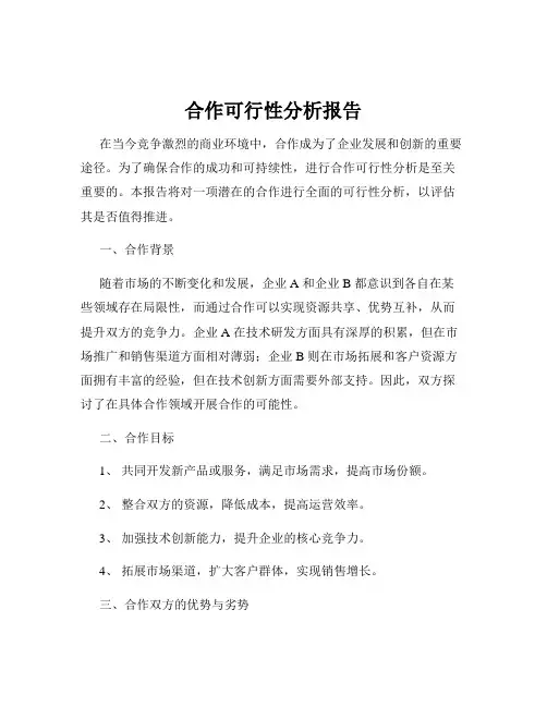 合作可行性分析报告