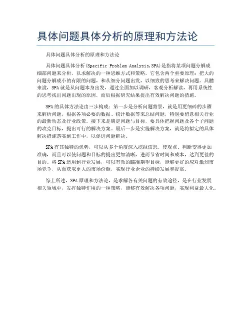 具体问题具体分析的原理和方法论