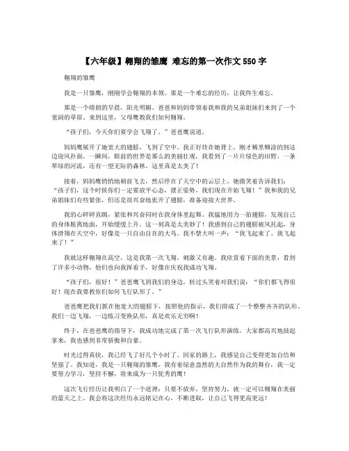 【六年级】翱翔的雏鹰 难忘的第一次作文550字