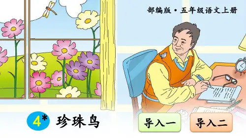 部编版小学五年级语文上册第4课《珍珠鸟》精品PPT课件