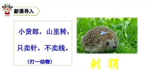 人教部编版语文《带刺的朋友》PPT精品课件1