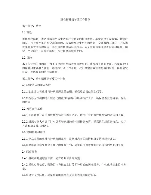 重性精神病年度工作计划