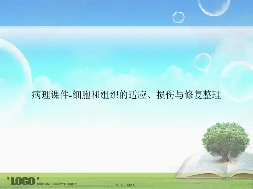 病理-细胞和组织的适应、损伤与修复整理讲课文档
