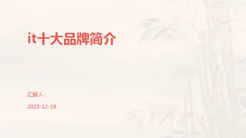 it十大品牌简介