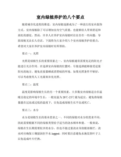 室内绿植养护的八个要点