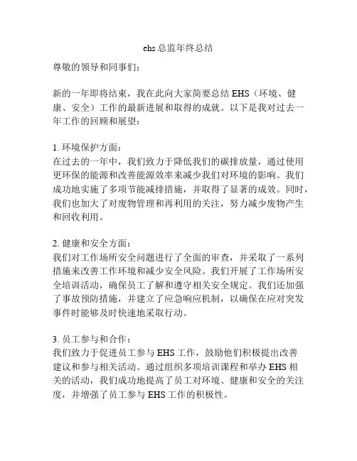 ehs总监年终总结