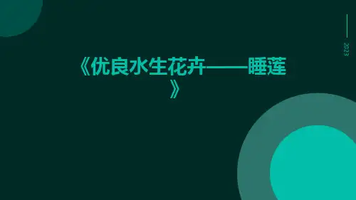 优良水生花卉——睡莲