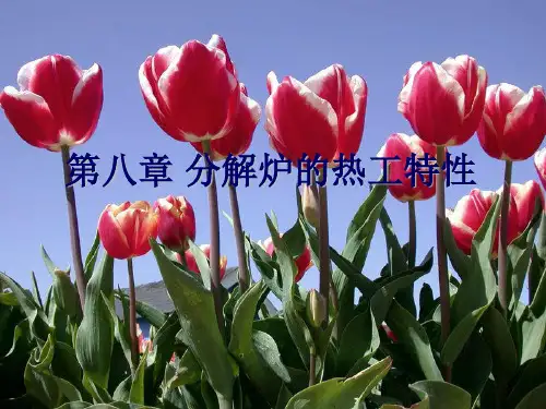 第10章  分解炉热工特性