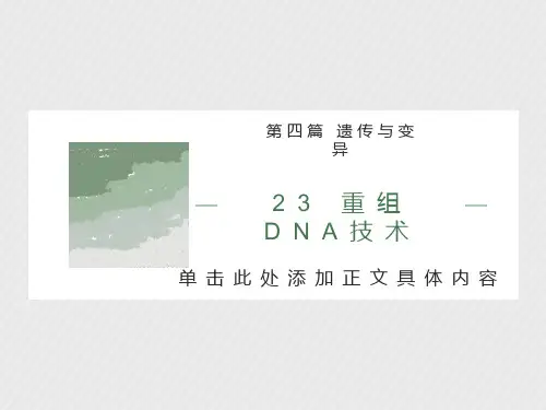 重组DNA技术