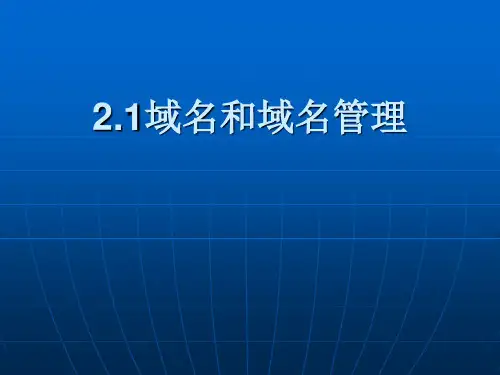 域名及域名管理