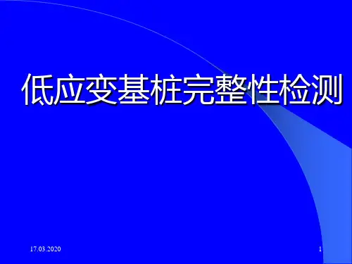 低应变检测(RSM-24FD-)完整版本