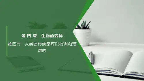 人类遗传病是可以检测和预防的-高一生物课件(浙科版2019必修2)