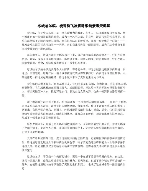 冰城哈尔滨：漫雪纷飞凌霄卧银装素裹天鹅舞