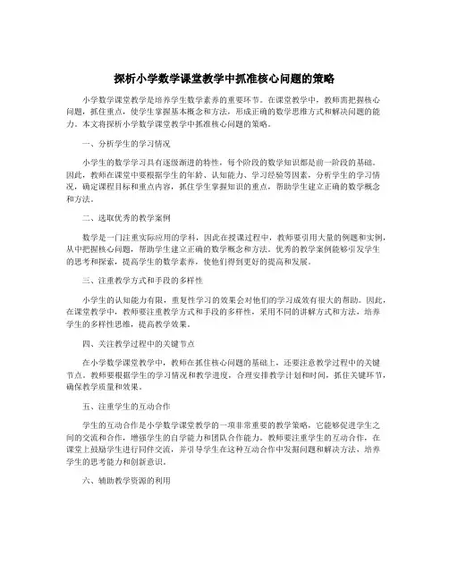 探析小学数学课堂教学中抓准核心问题的策略