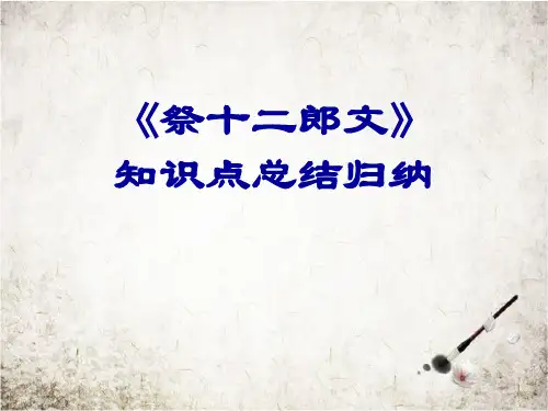 《祭十二郎文》知识点总结归纳.ppt