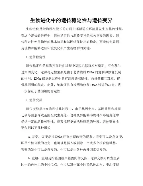 生物进化中的遗传稳定性与遗传变异