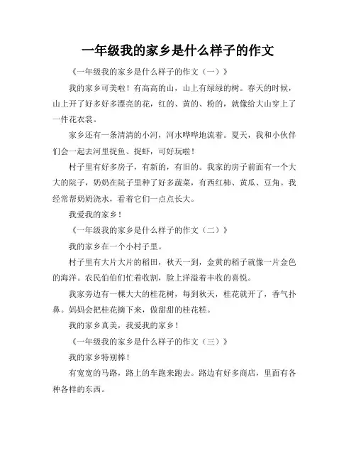 一年级我的家乡是什么样子的作文