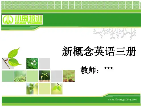 新概念第三册25课