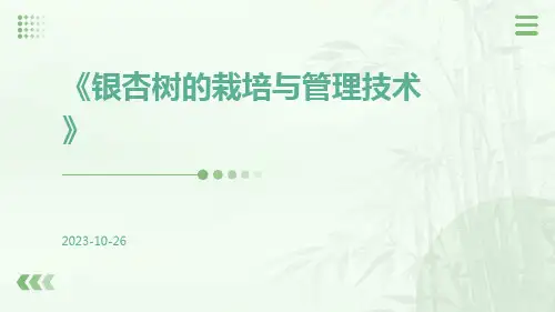 银杏树的栽培与管理技术