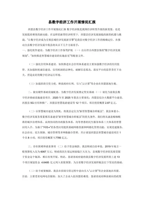 县数字经济工作开展情况汇报