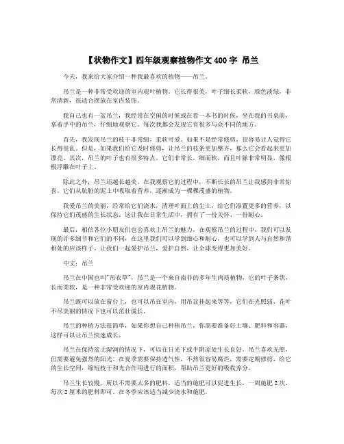 【状物作文】四年级观察植物作文400字 吊兰