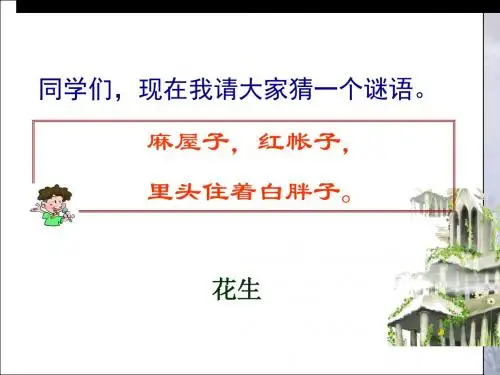 《山谷中的谜底》课件