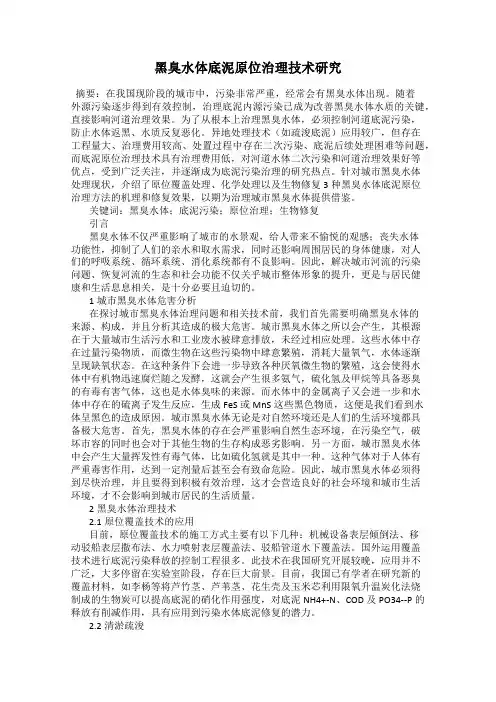 黑臭水体底泥原位治理技术研究