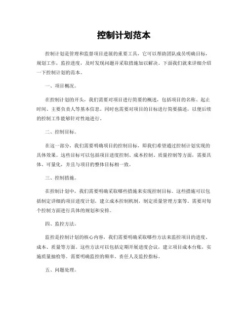 控制计划范本