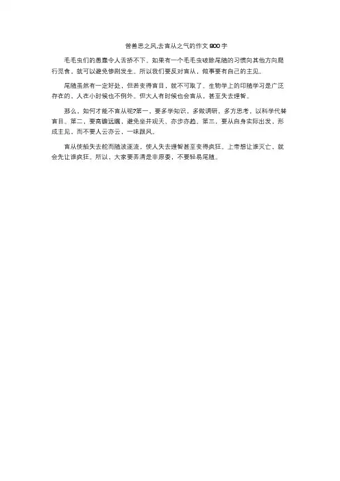 曾善思之风,去盲从之气的作文800字