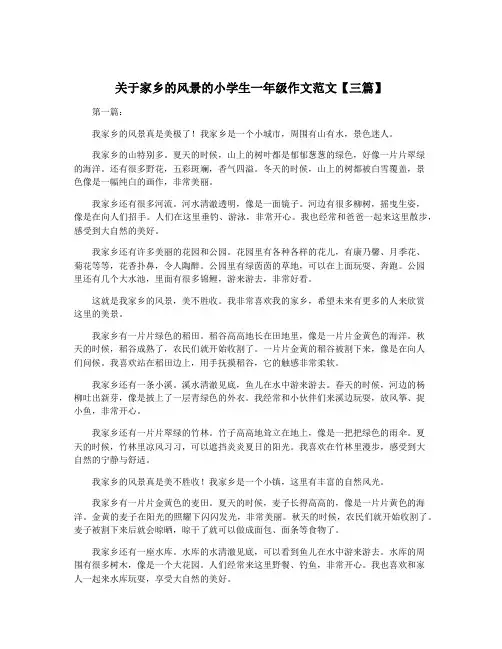 关于家乡的风景的小学生一年级作文范文【三篇】