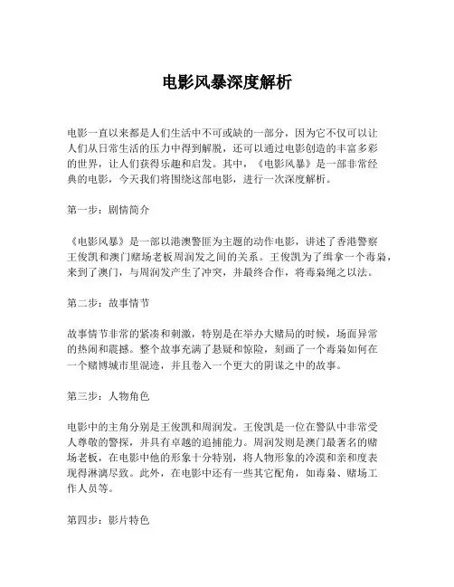 电影风暴深度解析