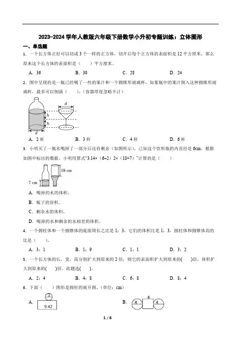 2023-2024学年人教版六年级下册数学小升初专题训练：立体图形(含答案)