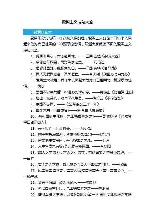 爱国主义诗句大全
