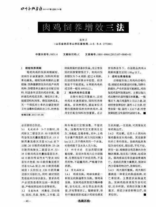 肉鸡饲养增效三法