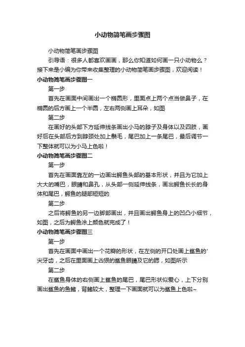 小动物简笔画步骤图