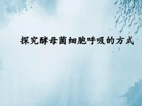 探究酵母菌细胞呼吸的方式ppt