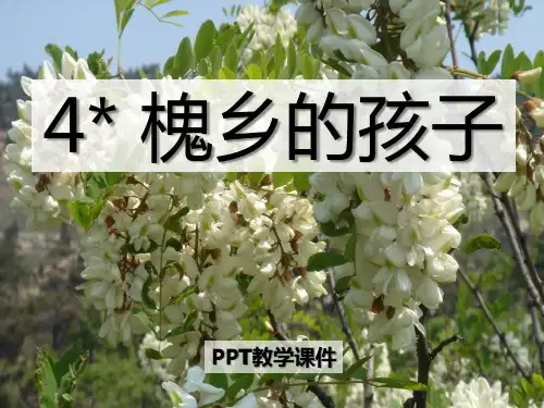 语文五下《槐乡的孩子》pptPPT课件