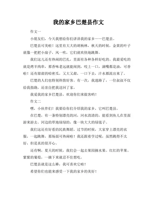 我的家乡巴楚县作文