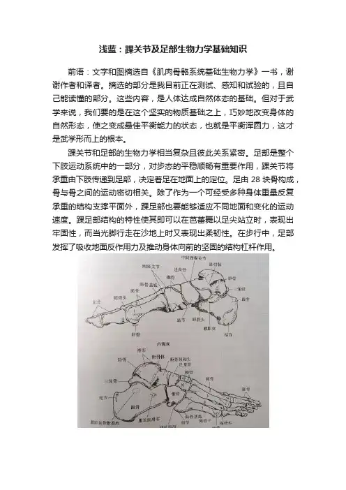 浅蓝：踝关节及足部生物力学基础知识