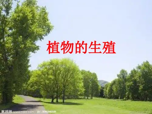 【一线精品】  中考生物    植物的生殖最新优秀公开PPT课件