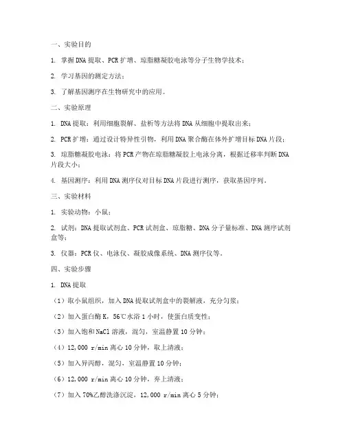 测定基因的实验报告
