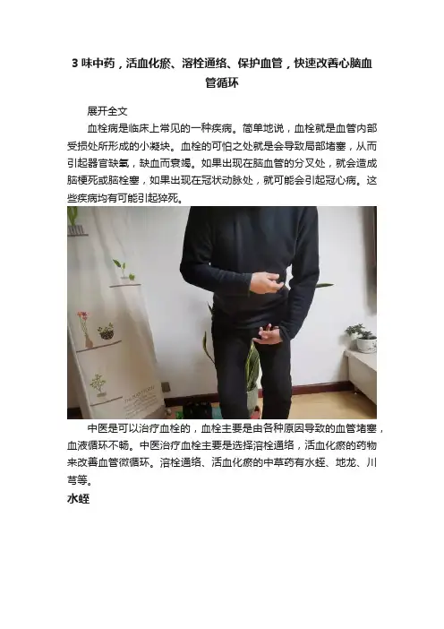 3味中药，活血化瘀、溶栓通络、保护血管，快速改善心脑血管循环