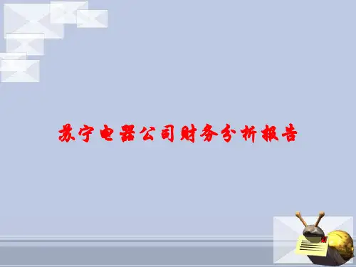 苏宁电器公司财务分析报告课件