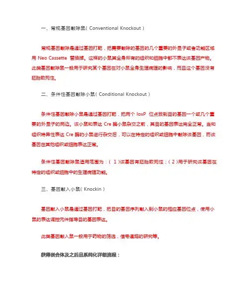 基因敲除小鼠的制作方法