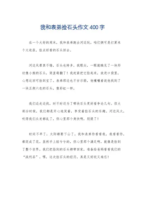 我和表弟捡石头作文400字
