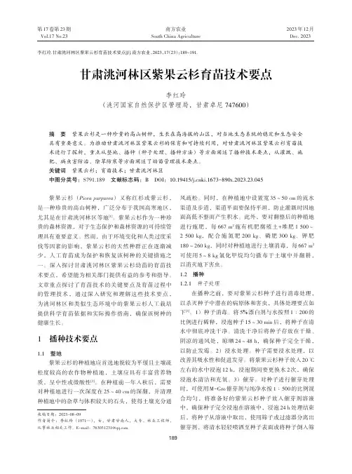 甘肃洮河林区紫果云杉育苗技术要点