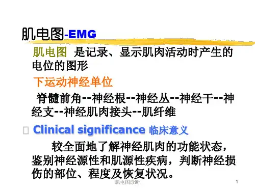 肌电图诊断课件