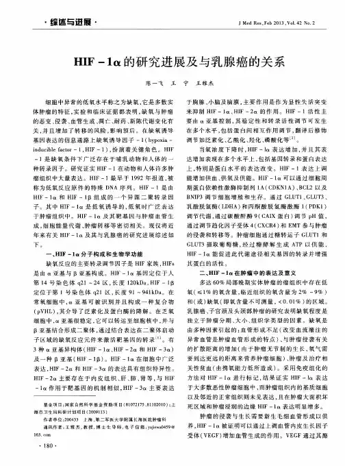 HIF-1α的研究进展及与乳腺癌的关系