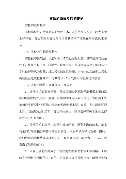 雪松的栽植及后期管护